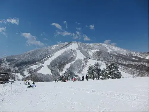 斑尾高原滑雪場