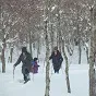 雪中散策