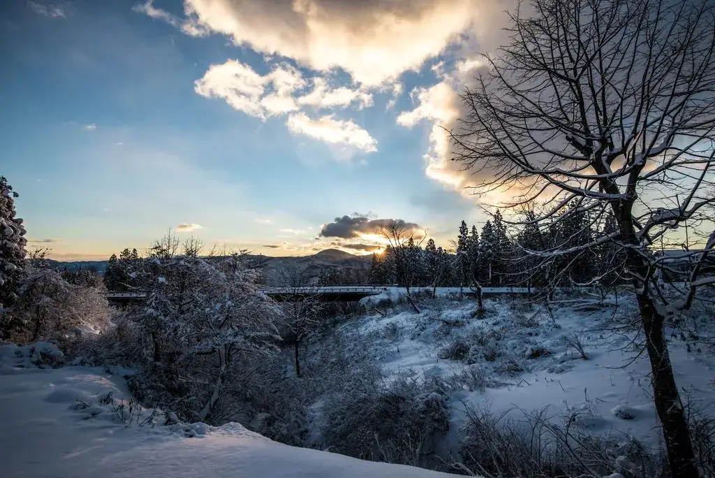 Myoko Powder Hostel02