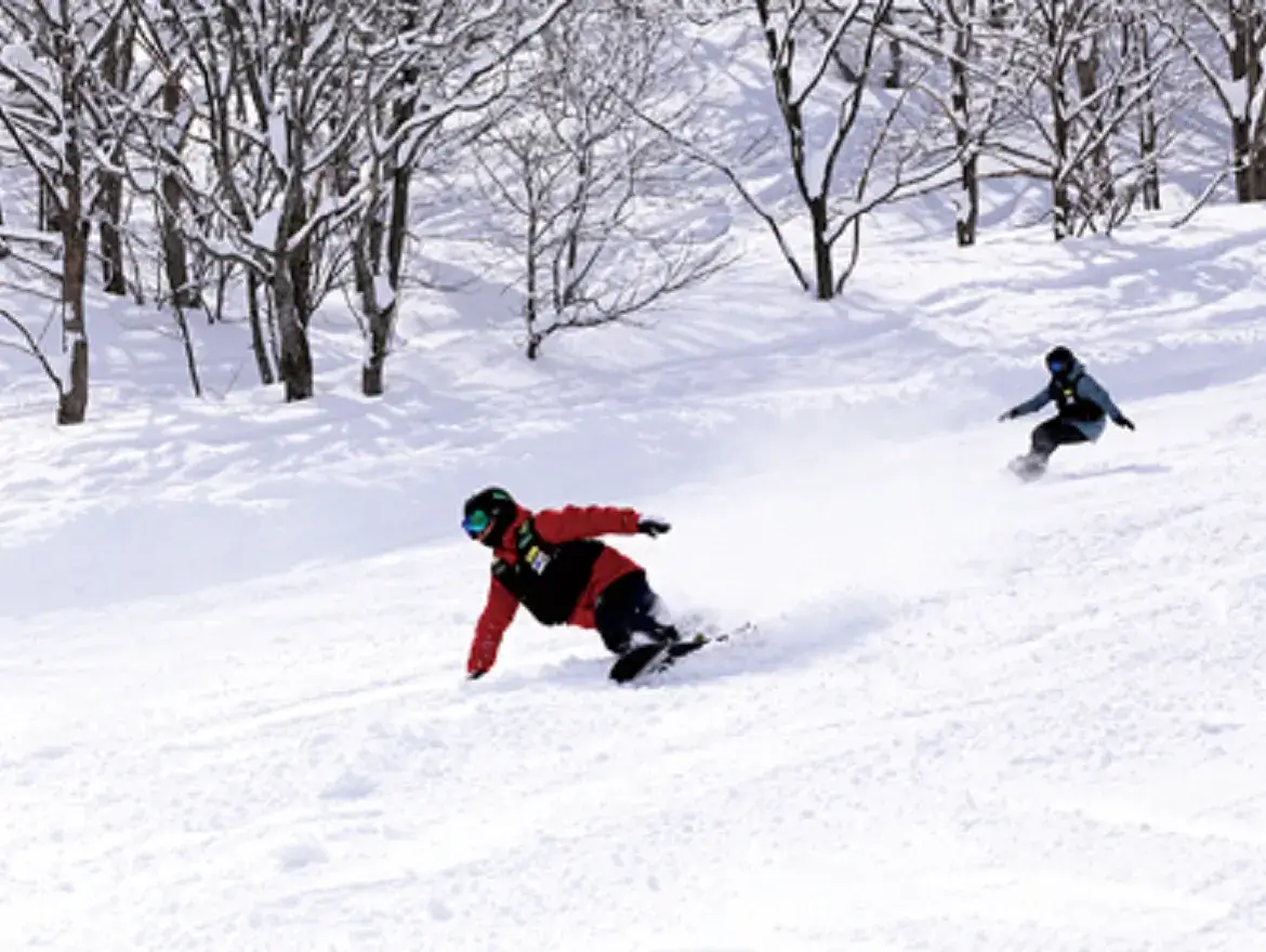 Myoko-san Snowboard School